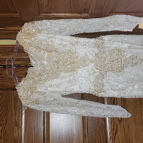 Gorgeous beaded lace sequin gown sold as is - Picture 3 of 11